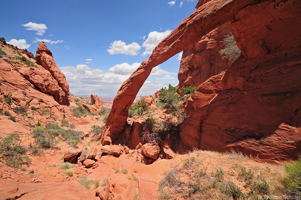 Diapositive suivante